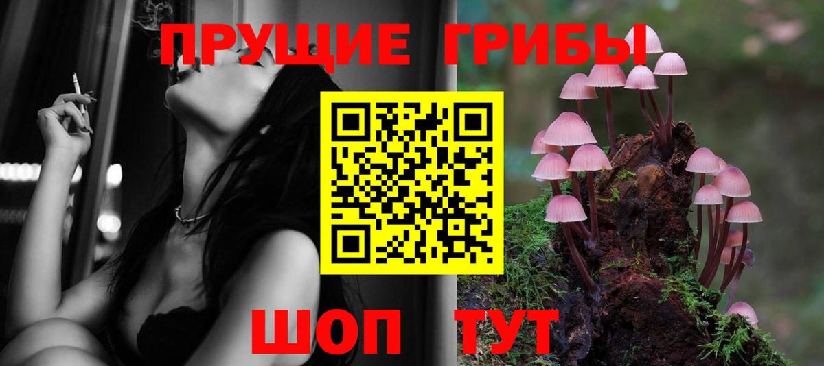 Галлюциногенные грибы Psilocybe Зеленокумск